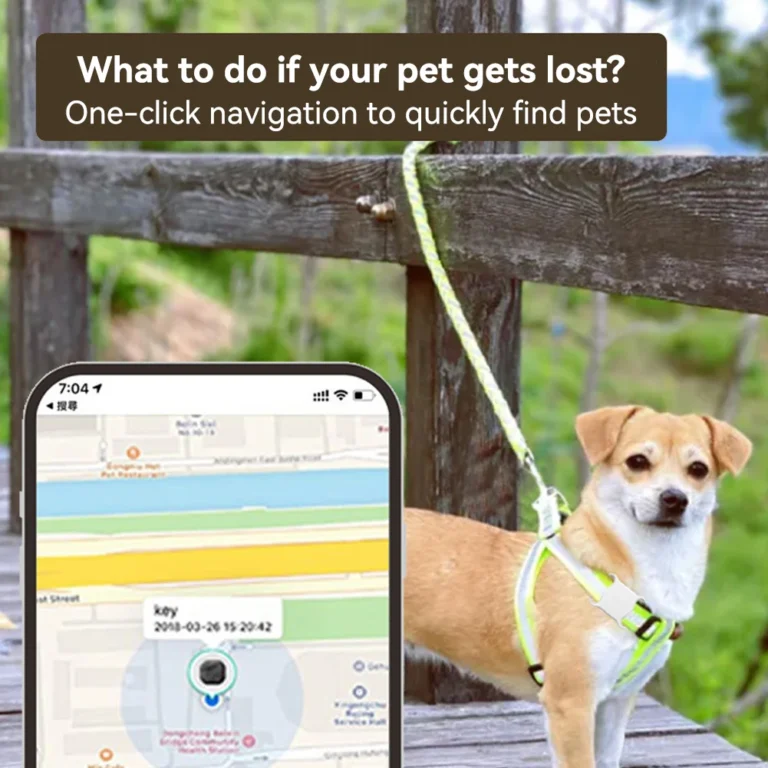 Mini Dog Cat Pet Finder Positioning - Image 5